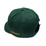 Roots Jamaica Flag Ball Cap – Unisex Rasta Reggae Concert Adjustable Baseball Hat