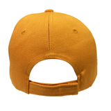 Roots Jamaica Flag Ball Cap – Unisex Rasta Reggae Concert Adjustable Baseball Hat