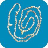 Seashell Shell Bobo Necklace Vacation Jewelry Casual Small Shells Unisex 36"